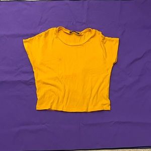 Zara Yellow Crop Top